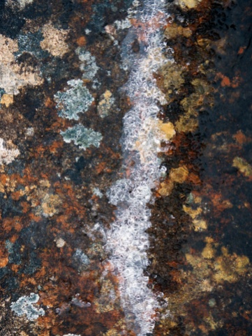 A brushstroke of snow on a canvas of rock and lichen.